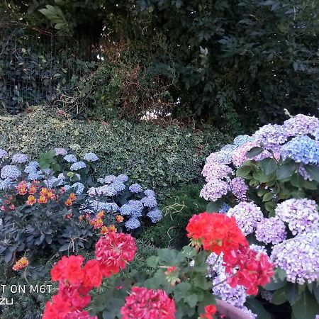 Alloggio Per Uso Turistico Da Margherita Fiuggi Extérieur photo